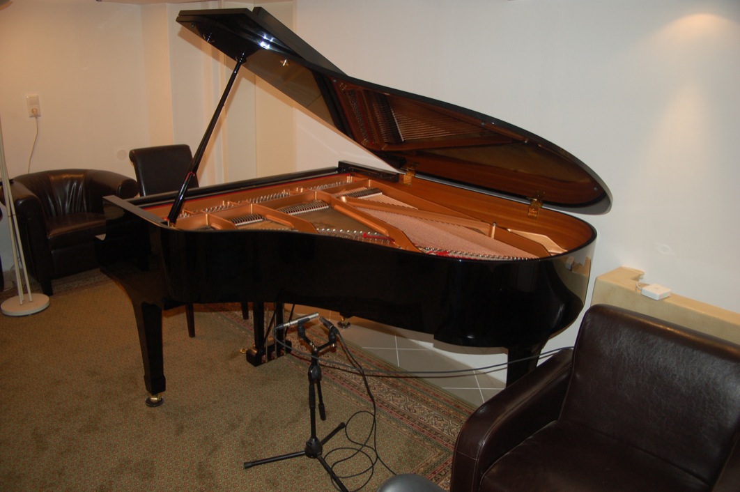 Fluegel%20Yamaha%20C3-0052.JPG